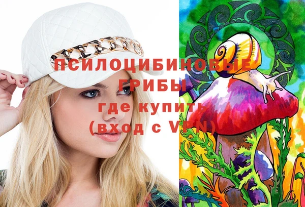 соль курить ск Гусь-Хрустальный
