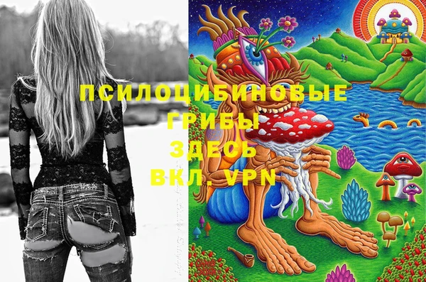 круглые Тайга