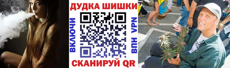 что такое наркотик  MEGA ТОР  Бошки марихуана SATIVA & INDICA  Грайворон 